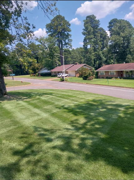 Quiet suburban street with brick houses, green lawns, tall trees, and a sunny blue sky.