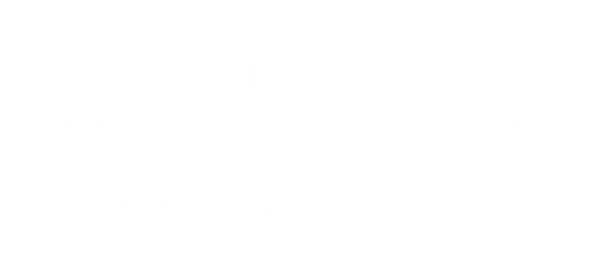 Horizon Solutions logo