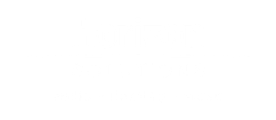 Horizon Solutions logo