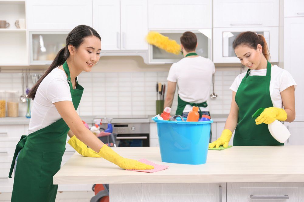 A Team of Professional Cleaners