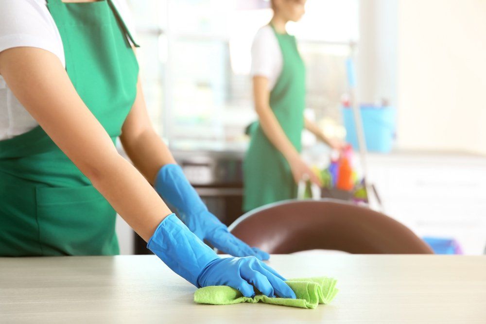 Professional Cleaners Cleaning Residential House