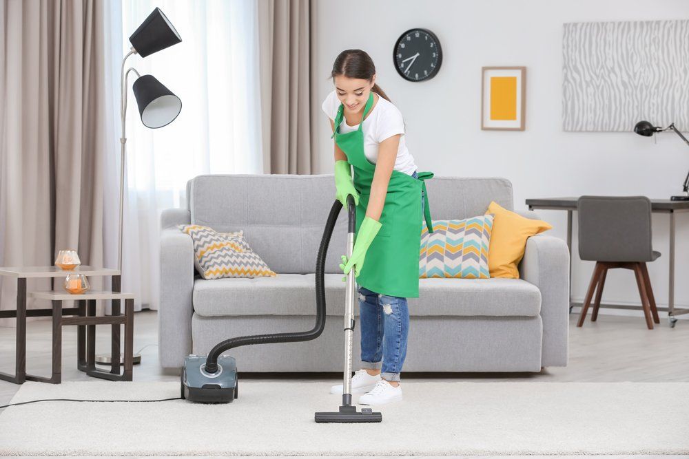 Professional House Cleaning