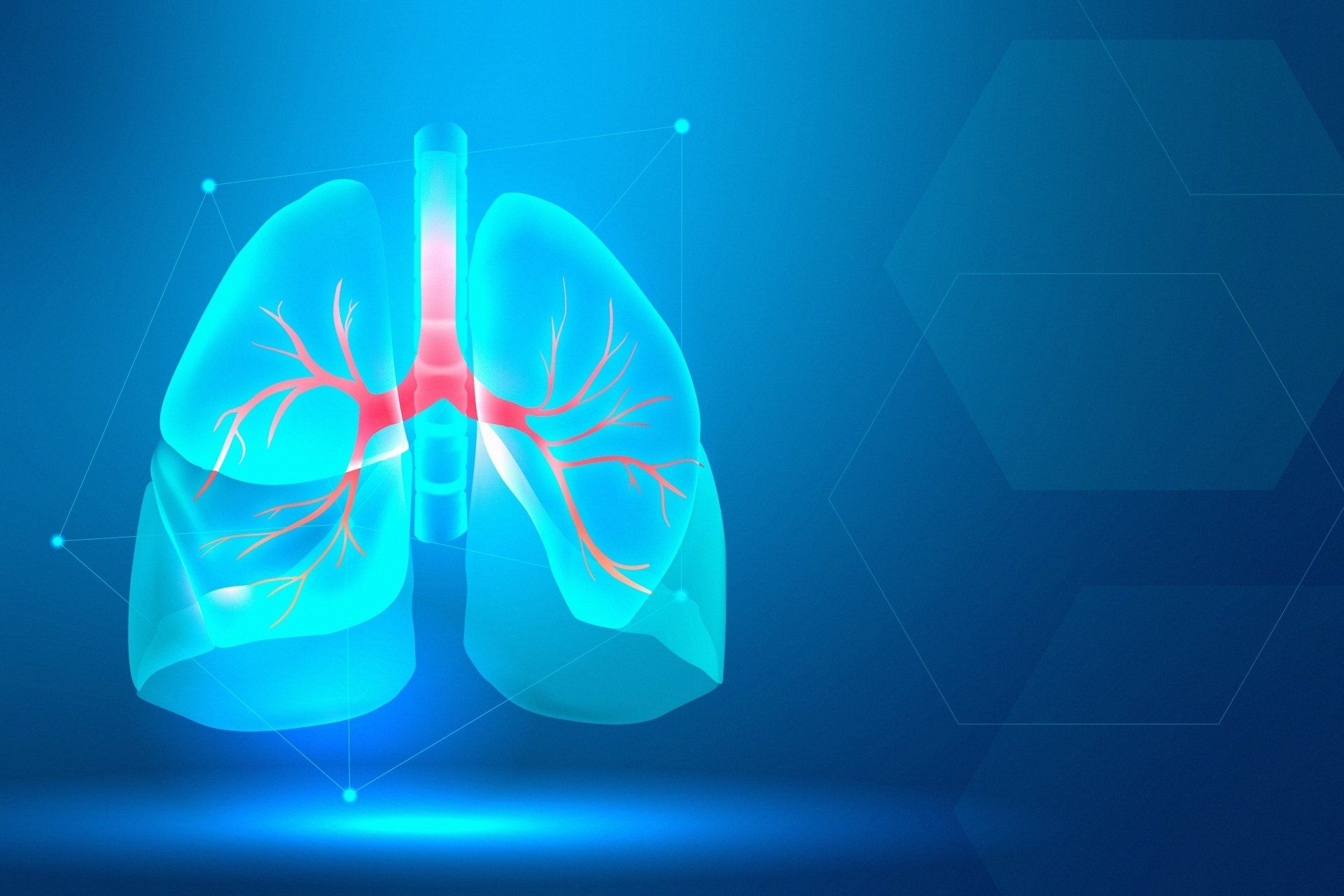 80,100+ Human Lung Stock Photos, Pictures & Royalty-Free Images - iStock |  Human lung cells, Human lung anatomy, Healthy human lung