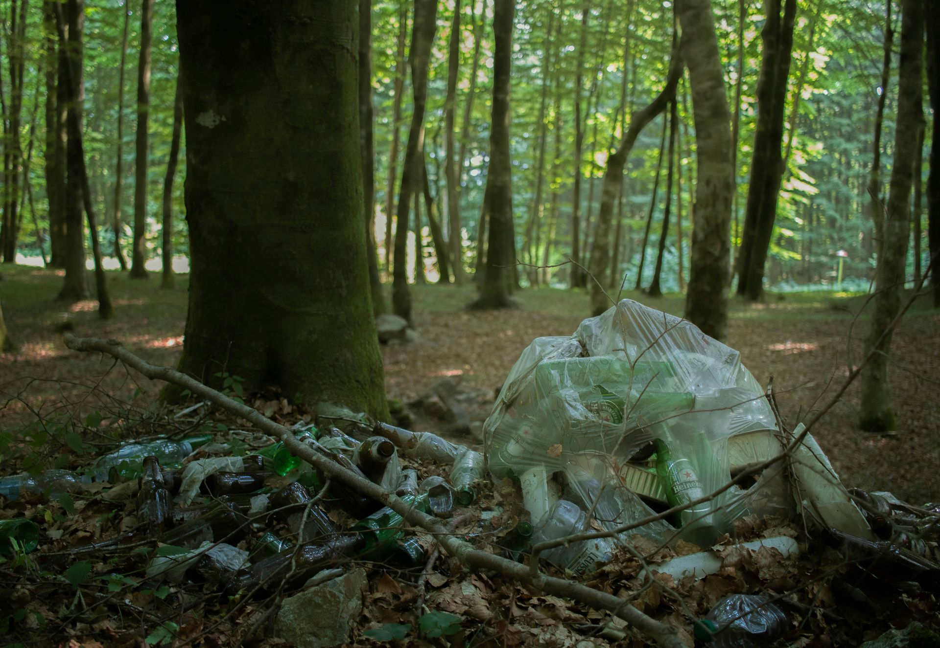 trash litter in the forest