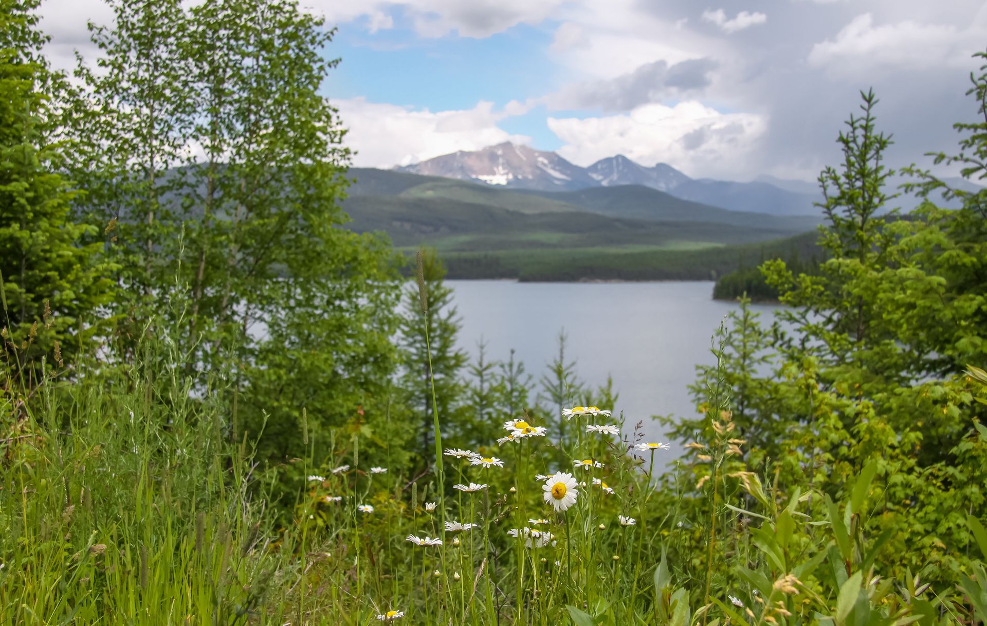 Lake view with mountains and wildflowers, framed by green trees, under a cloudy sky.