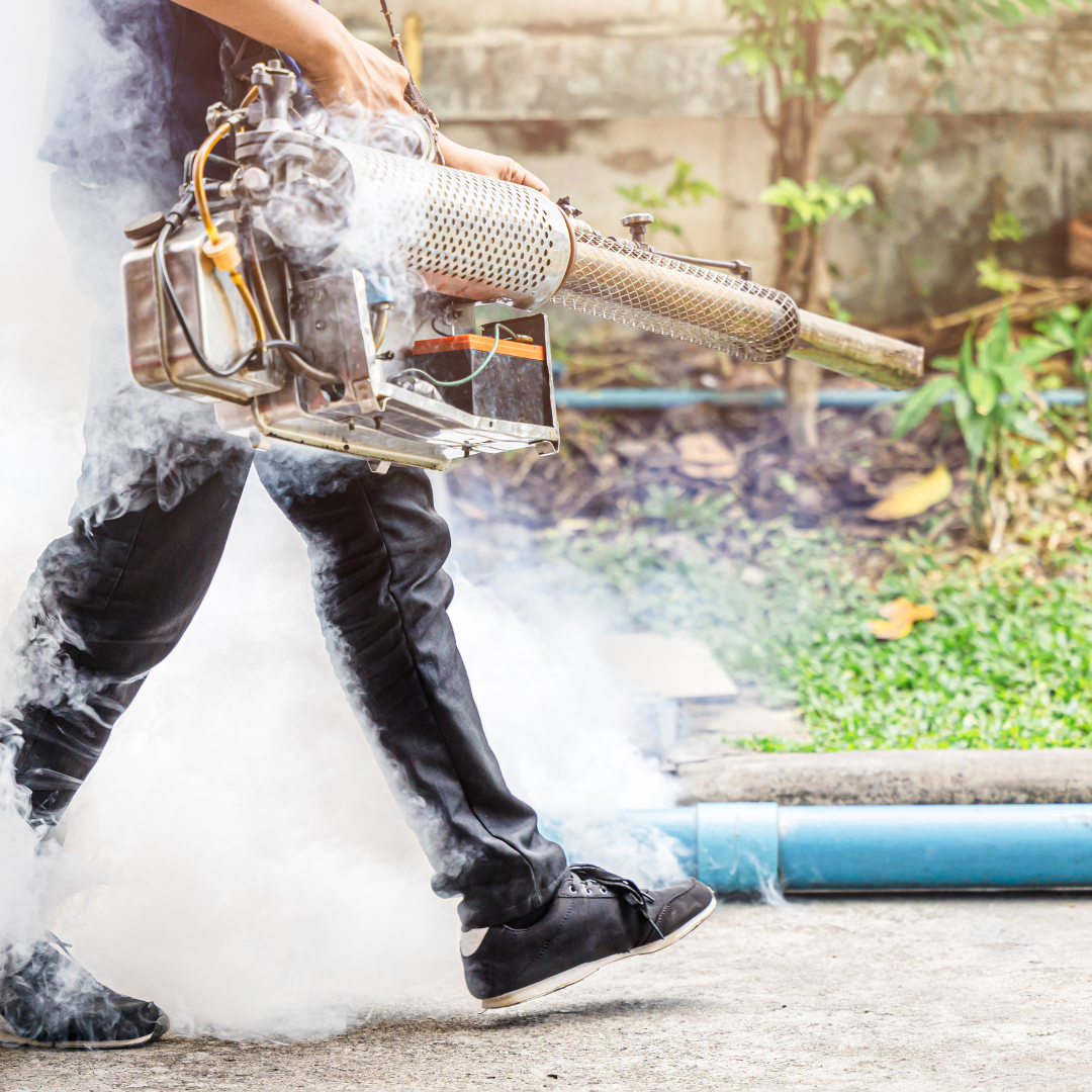 A person is walking with a machine that is spraying smoke.