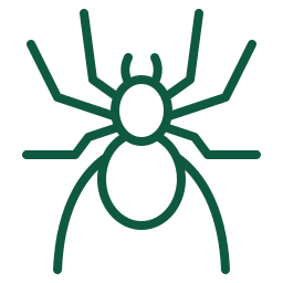 SPIDER icon