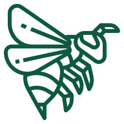 A green line drawing of a bee on a white background.