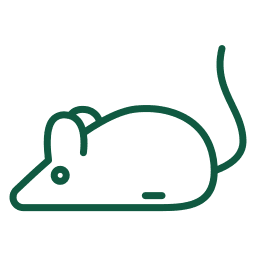 MOUSE icon