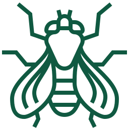 A green line drawing of a fly on a white background.