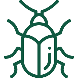 A green line drawing of a bug on a white background.