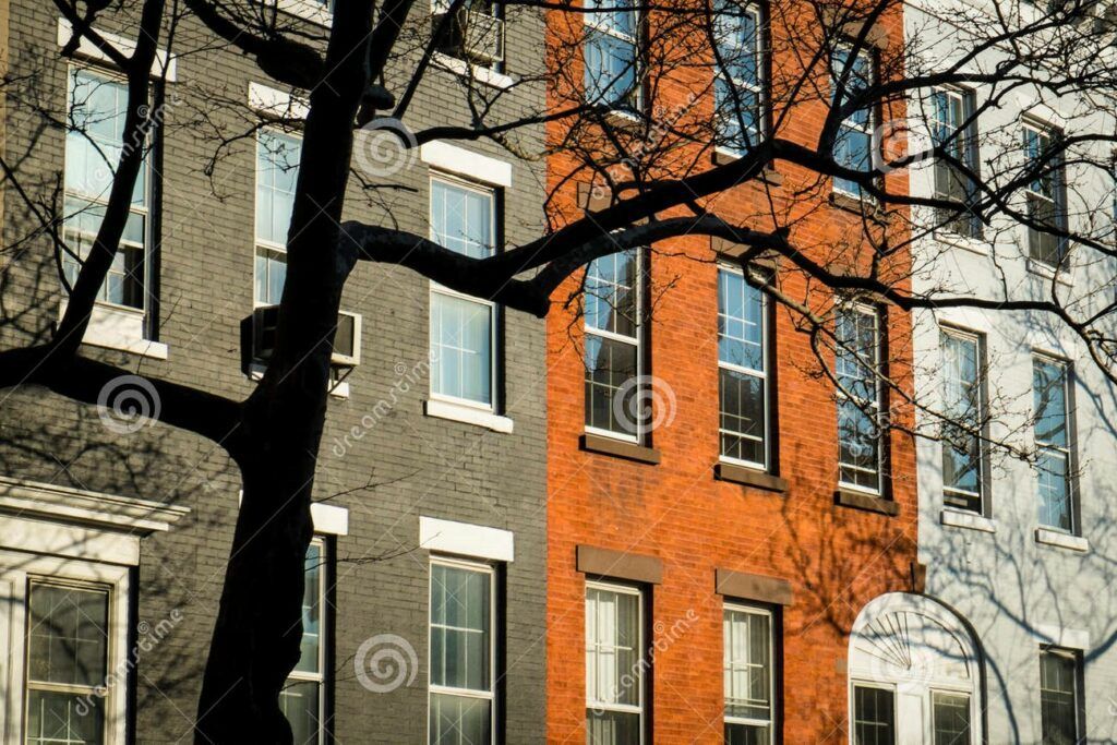 a tree is standing in front of a row of brick buildings .