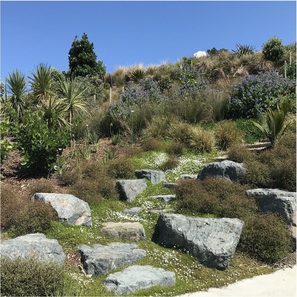 Rock garden landscape