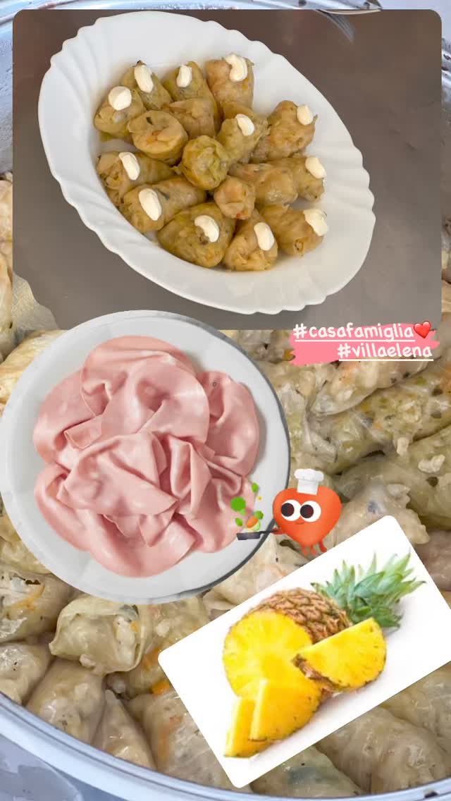 menu giornaliero villa elena 11