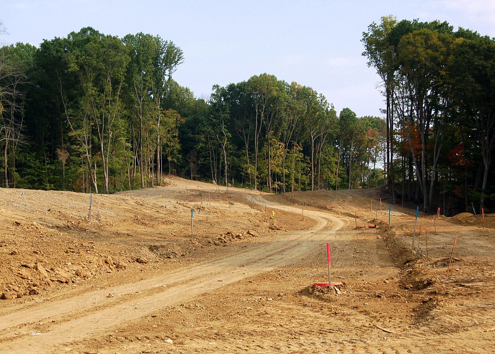 Un camino de tierra que atraviesa un campo con árboles al fondo.