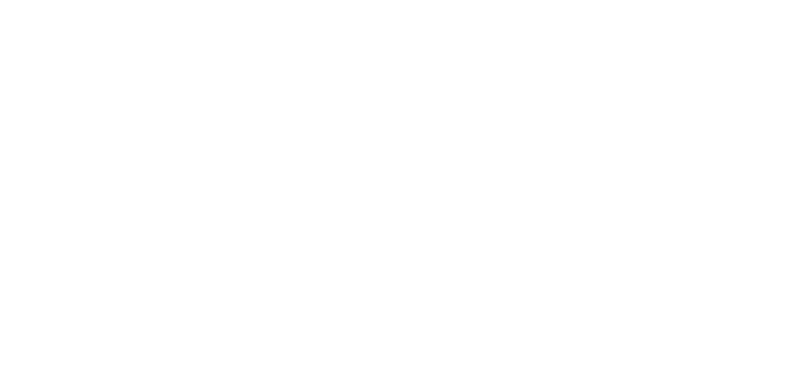 The Dr Edward Koch Foundation
