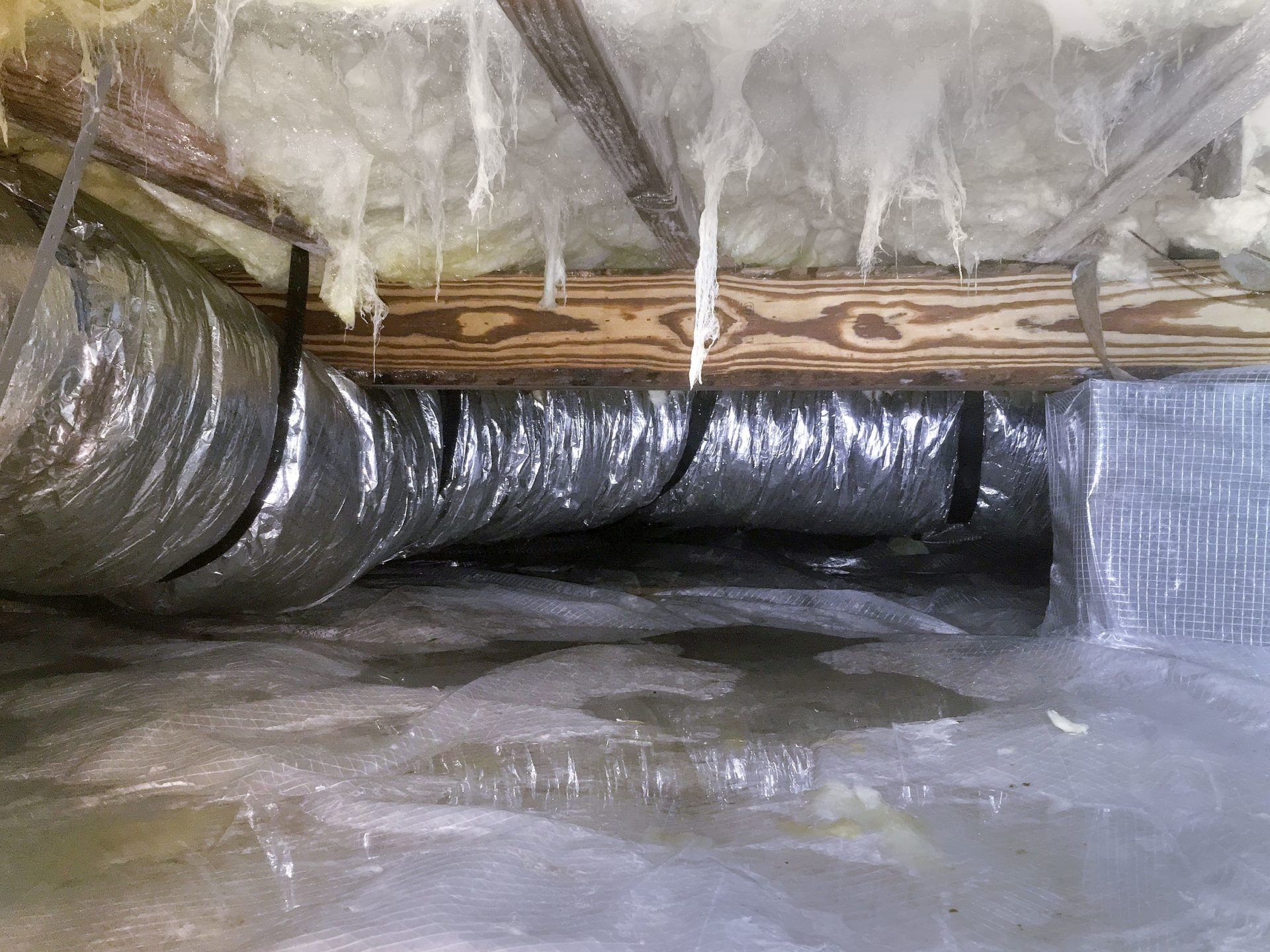 Water-damaged crawlspace with ductwork, insulation, and wet surface, appearing to have leaks and mold.