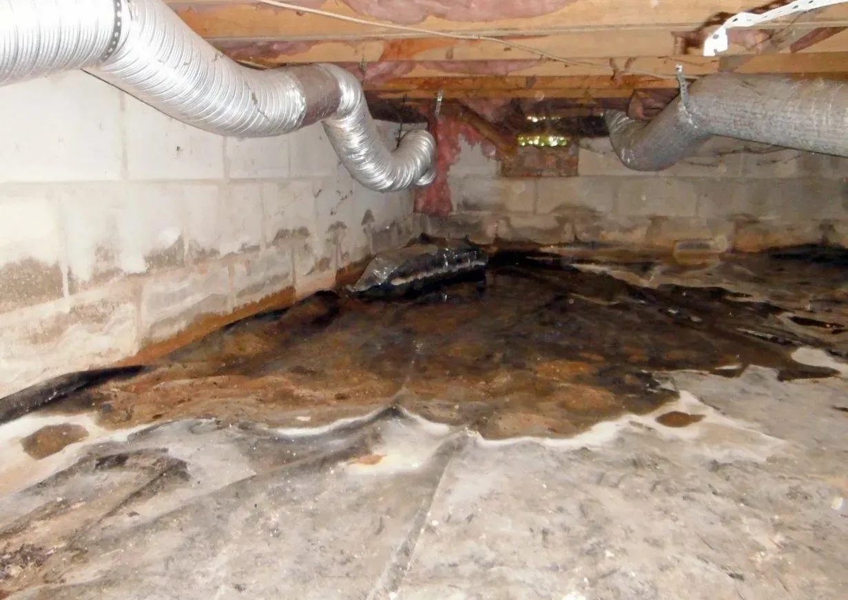 Wet crawlspace with standing water, mold, and ductwork.