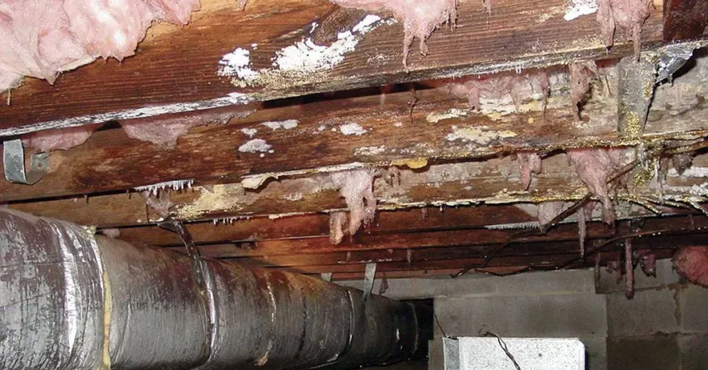 Wooden beams and ductwork in a crawl space, showing signs of moisture damage and mold.