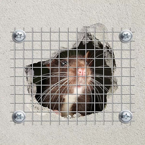 Cracked brick wall with a diagonal fissure running from top to bottom.