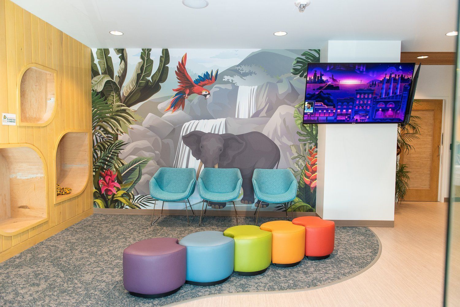 Waiting room Asheville Pediatric Dentistry (828) 277-6788