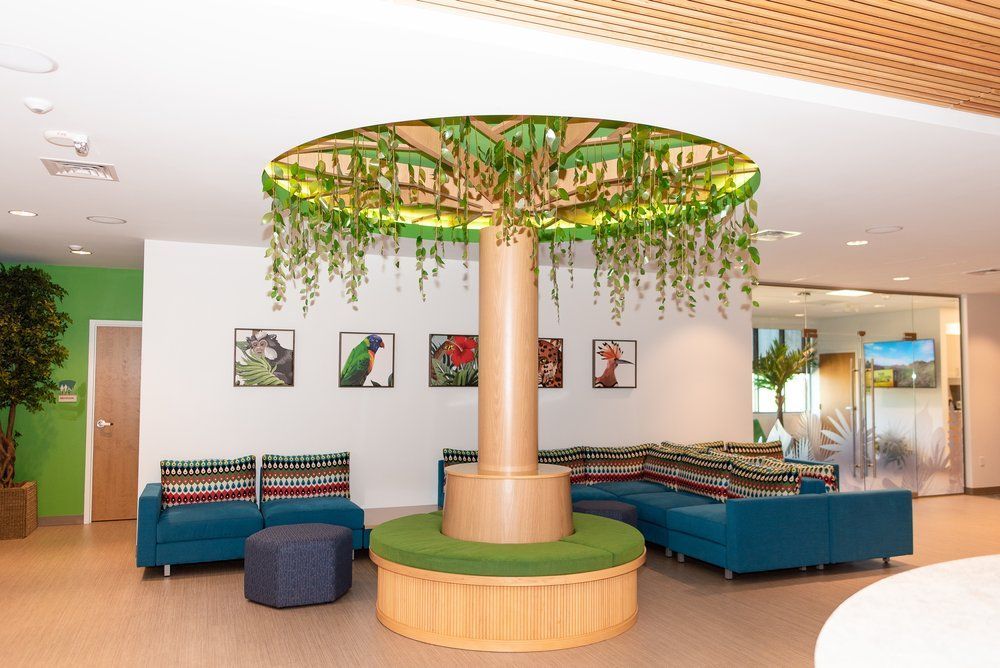 A waiting room with a tree in the middle of it Asheville Pediatric Dentistry (828) 277-6788