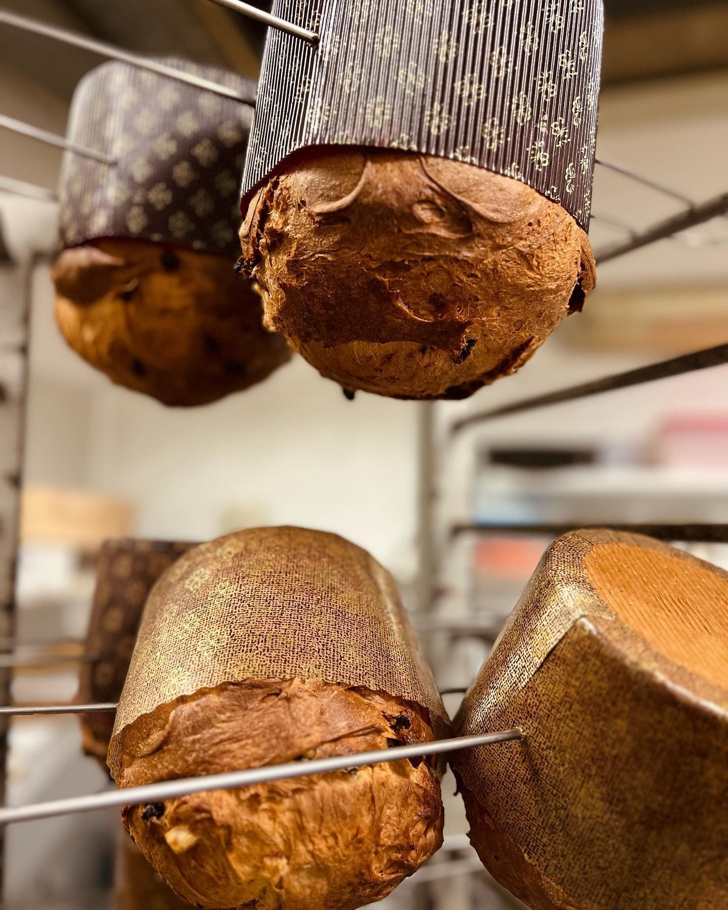 asciugatura panettone