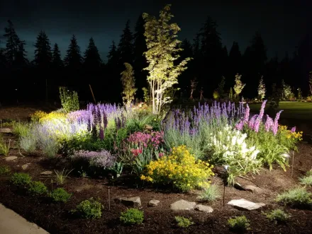 Architectural landscape lighting on a modern Brentwood, Burnaby home. Our outdoor lighting Burnaby company designs custom exterior illumination to boost property value. This showcases professional landscape lighting installation Burnaby, with sleek downlighting and wall wash fixtures. Low voltage lighting solutions Burnaby BC for the best curb appeal in Metro Vancouver. Keywords: Burnaby landscape lighting, modern design, LED technology, cool white 4000K, Coquitlam, New Westminster, certified electrician.