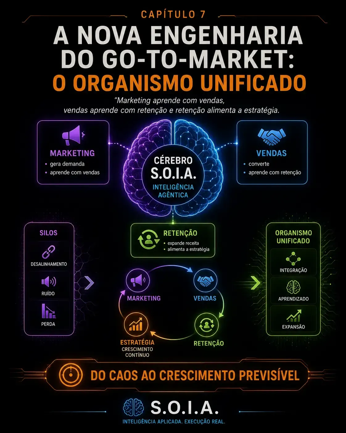 Imagem Capítulo 7