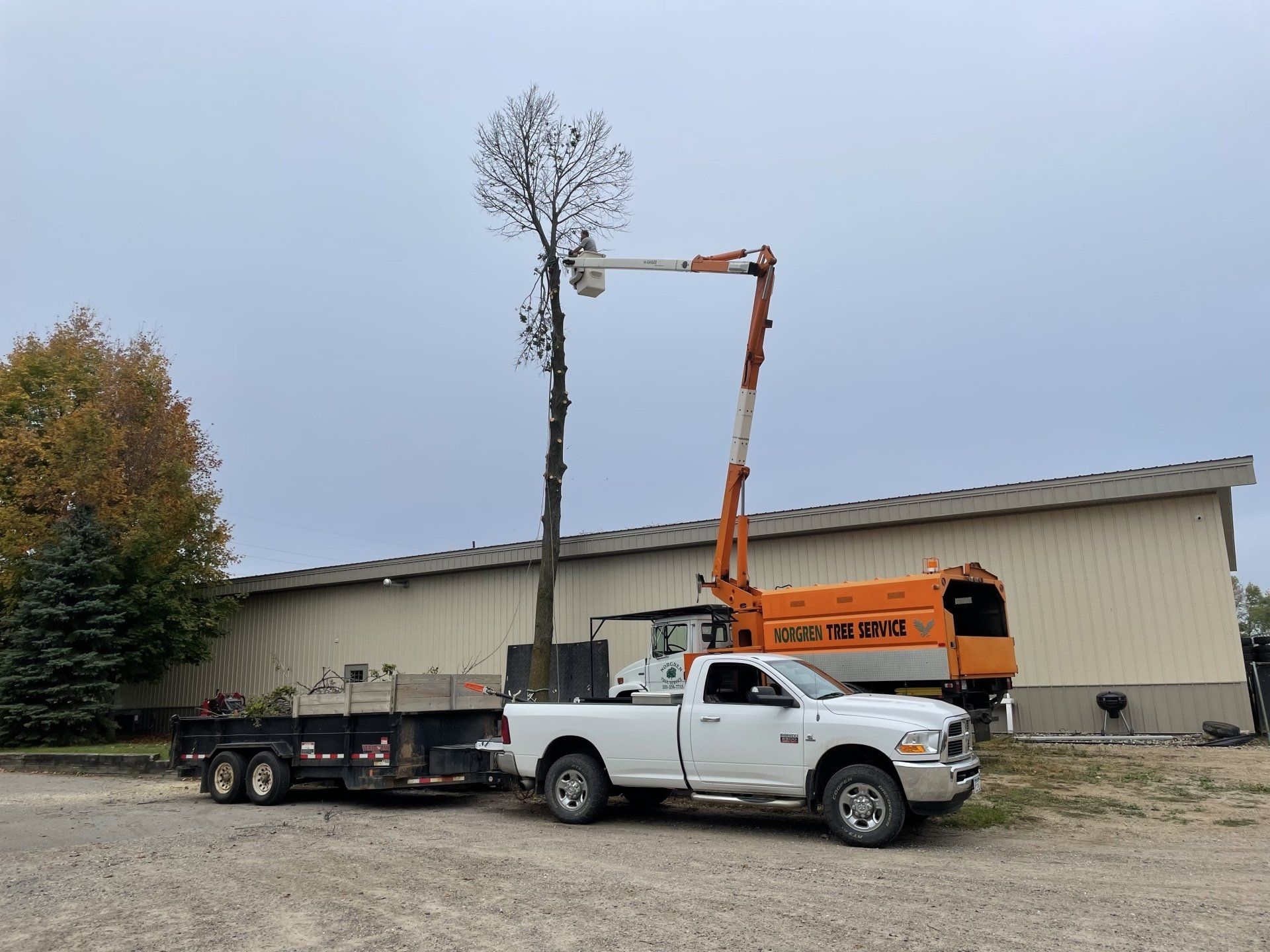 White Van — South Haven, MN — Norgren Tree Service Inc