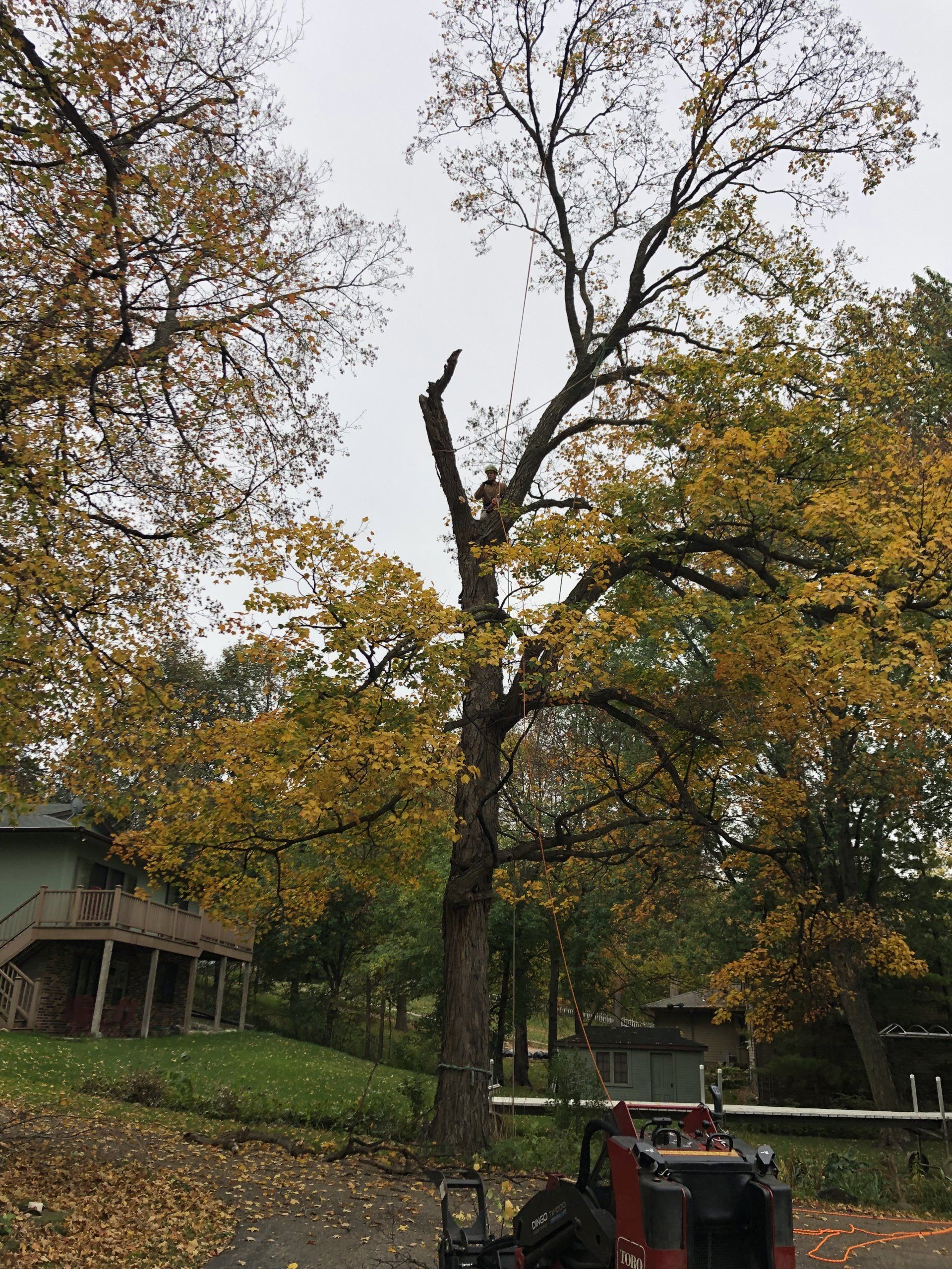 White Van — South Haven, MN — Norgren Tree Service Inc