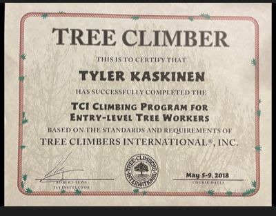 Tree Climbing Certification