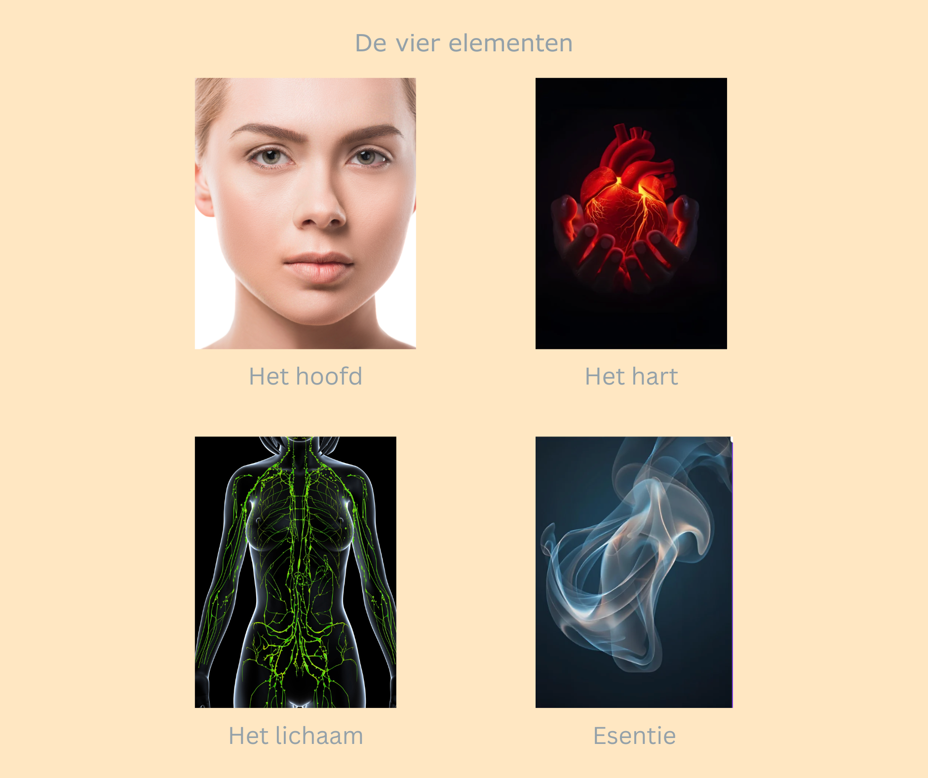Hoofd, hart, lichaam en Essentie. De vier dimensies in holistisch coachen.