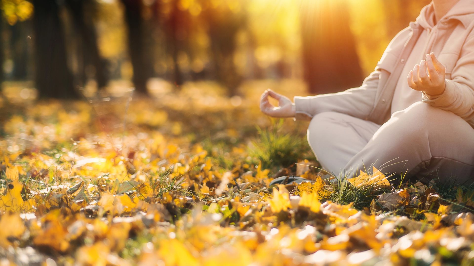 Person meditating outdoors in autumn leaves, hands in mudra, sunlight.