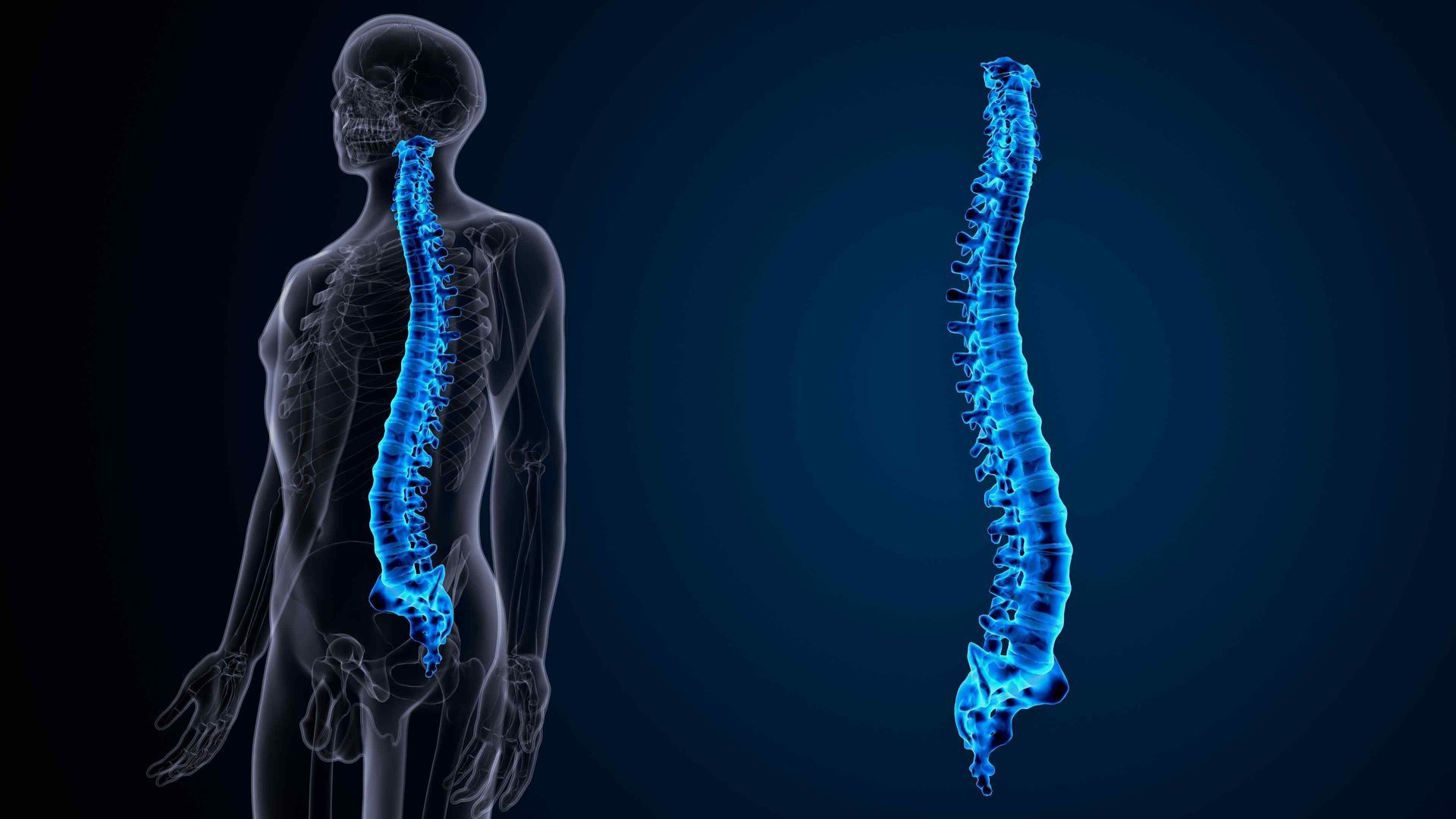 Spinal Alignment Diagram