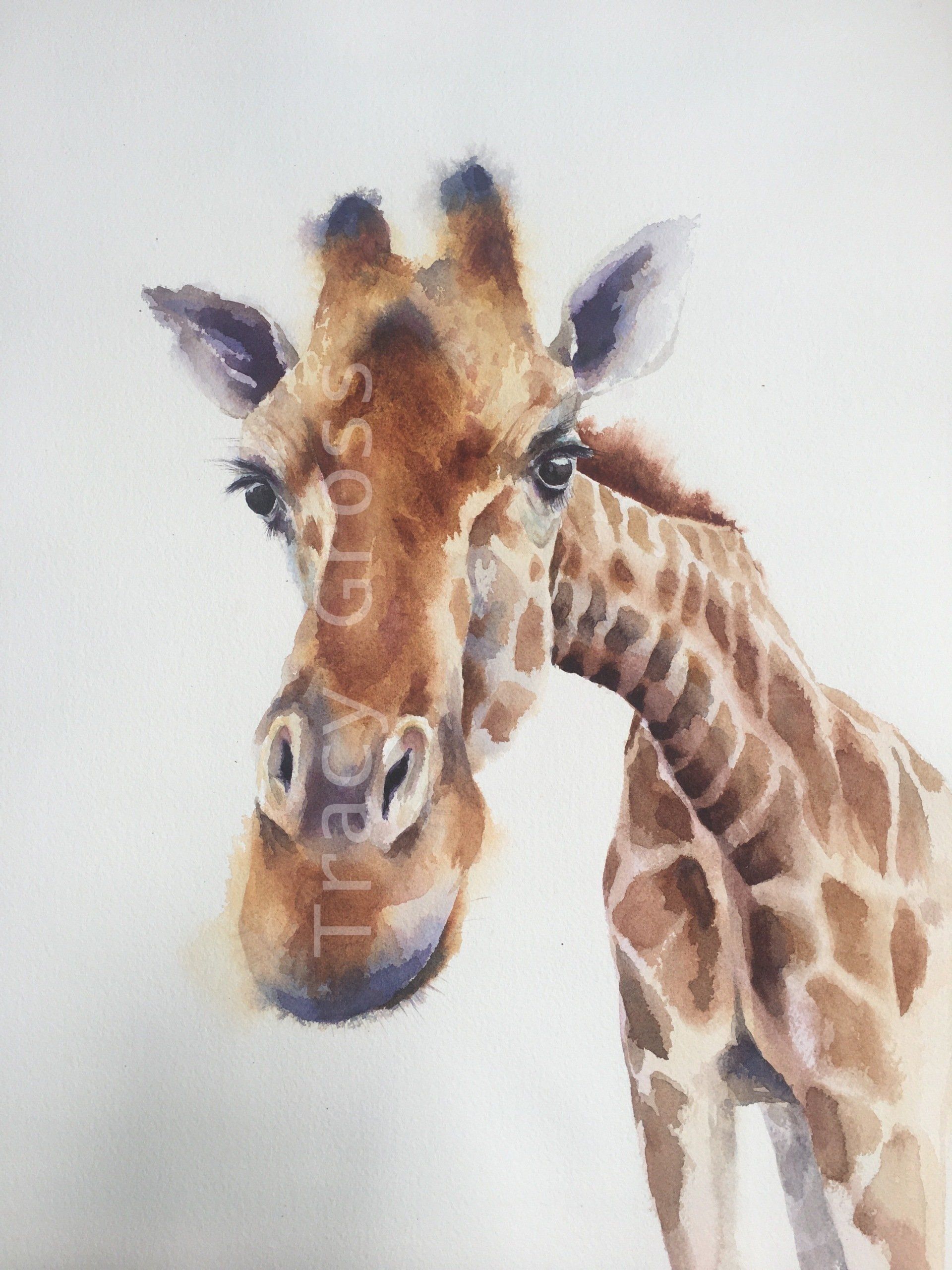 Tracy Gross - Watercolour Artist, Wannock, UK