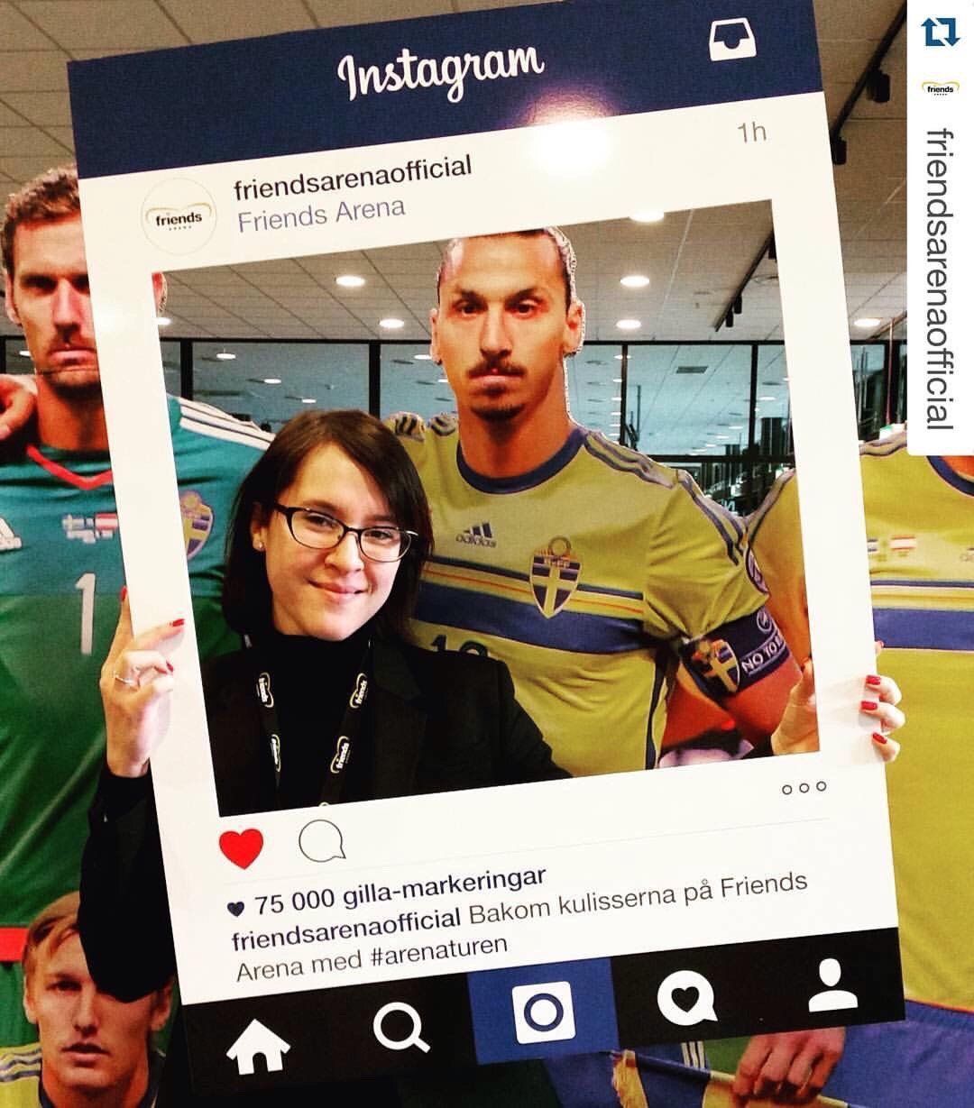 FRIENDS ARENA & ZLATAN - PartyRam.se