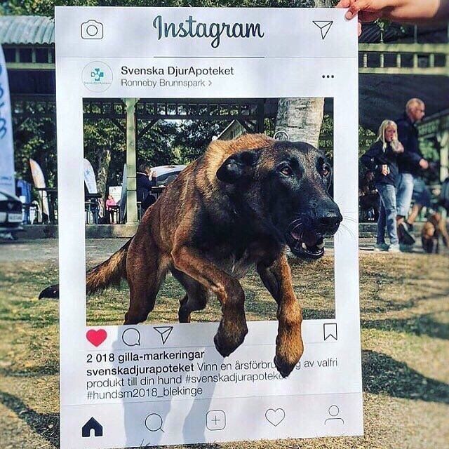 SVENSKA DJURAPOTEKET - PartyRam.se