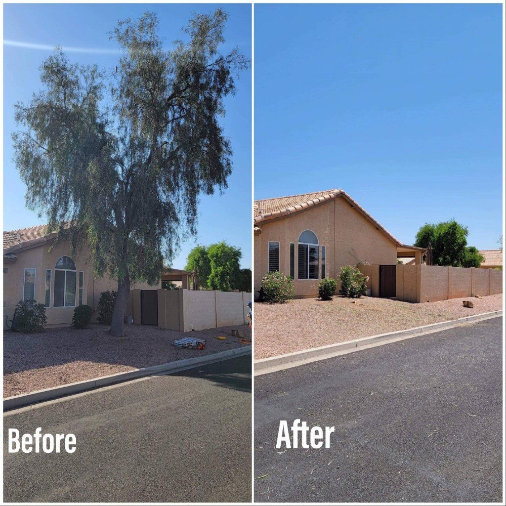 A before and after picture of a house with a tree in front of it