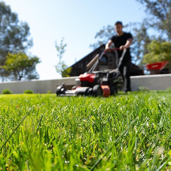 A man is mowing a lush green lawn with a lawn mower.
