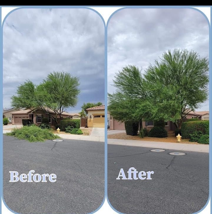 A before and after picture of a tree in front of a house