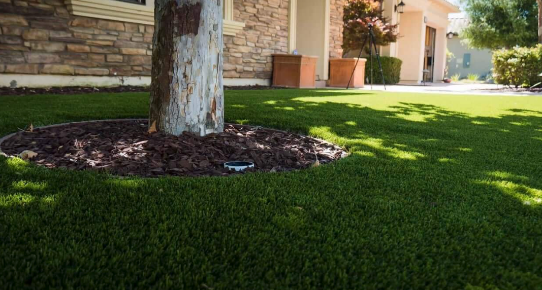 A tree in the middle of a lush green lawn in front of a house.