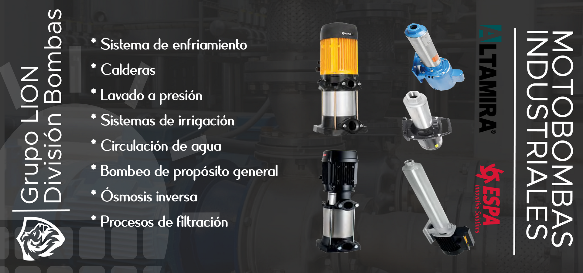 GRUPO LION