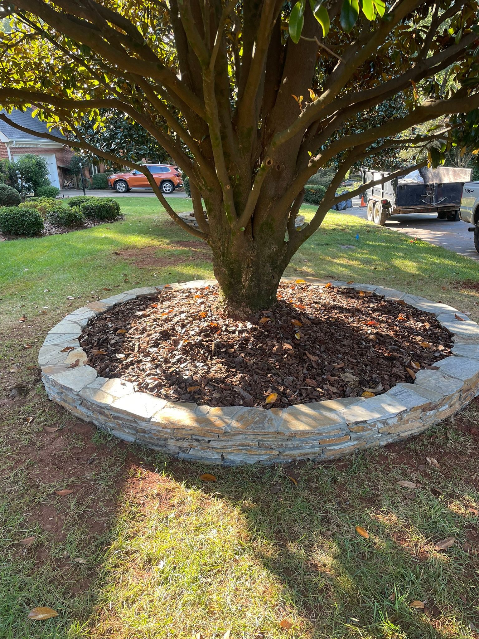A tree is sitting in a circle of mulch in a yard.