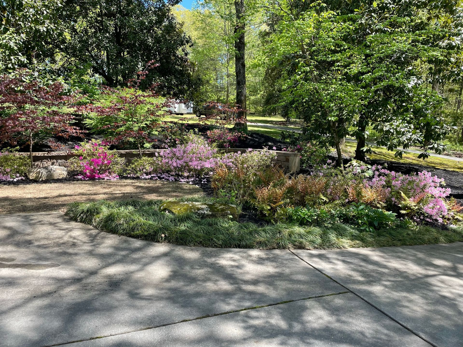 A driveway surrounded by trees and flowers in a park.