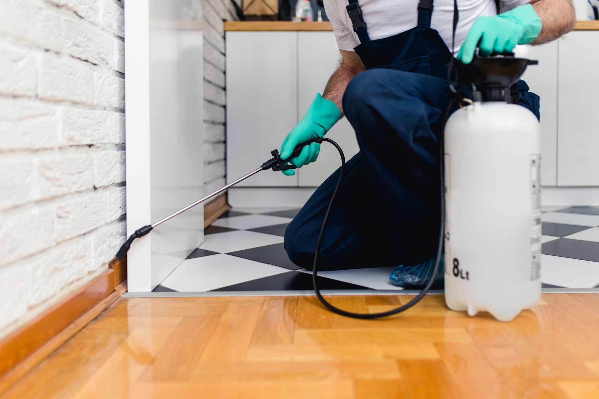 Pest control technician spraying treatment along kitchen baseboard. Pest control technician spraying treatment along kitchen baseboard.