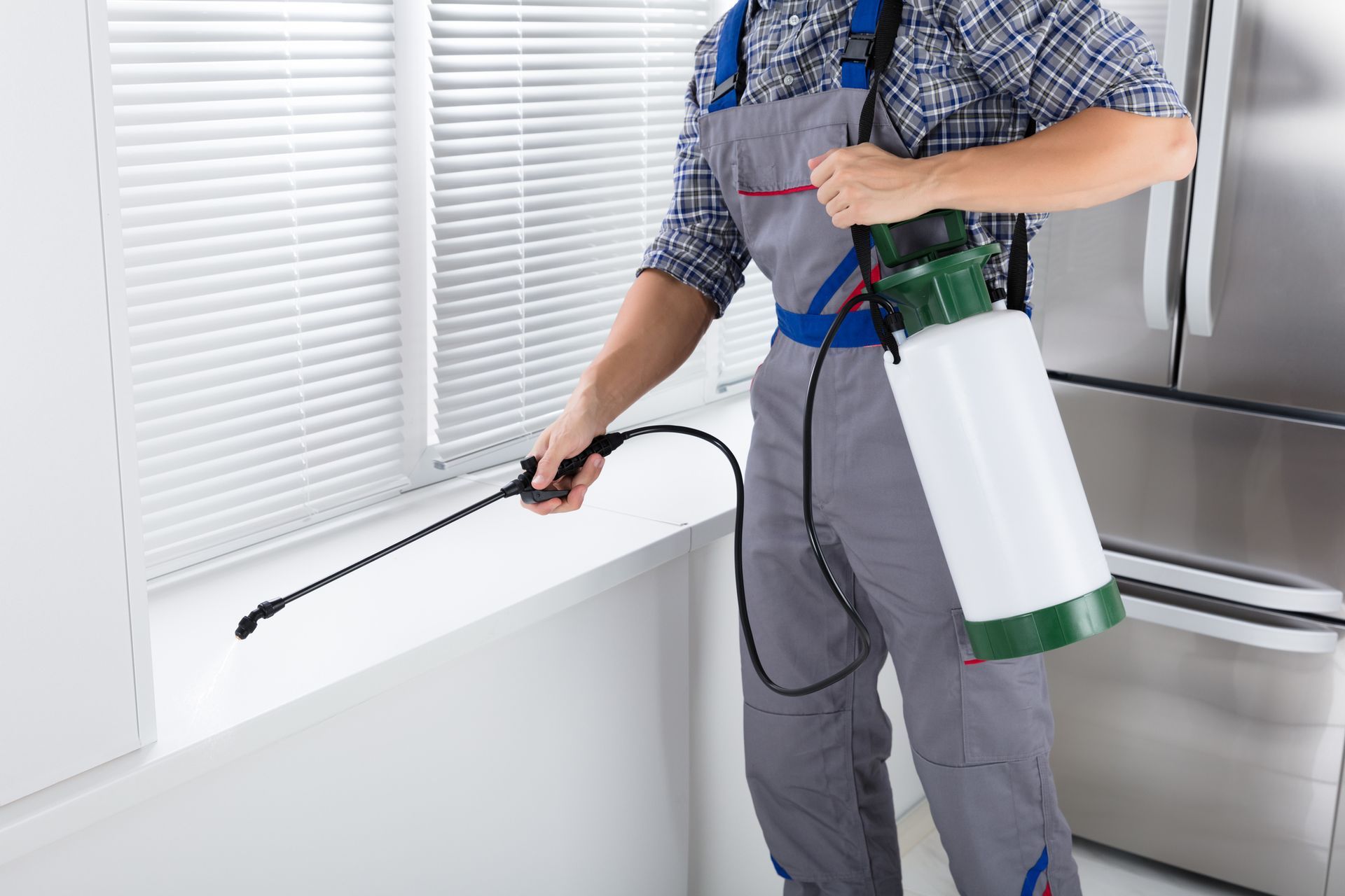 A pest exterminator addressing an ant infestation at a residential property in Crown Point, IN.
