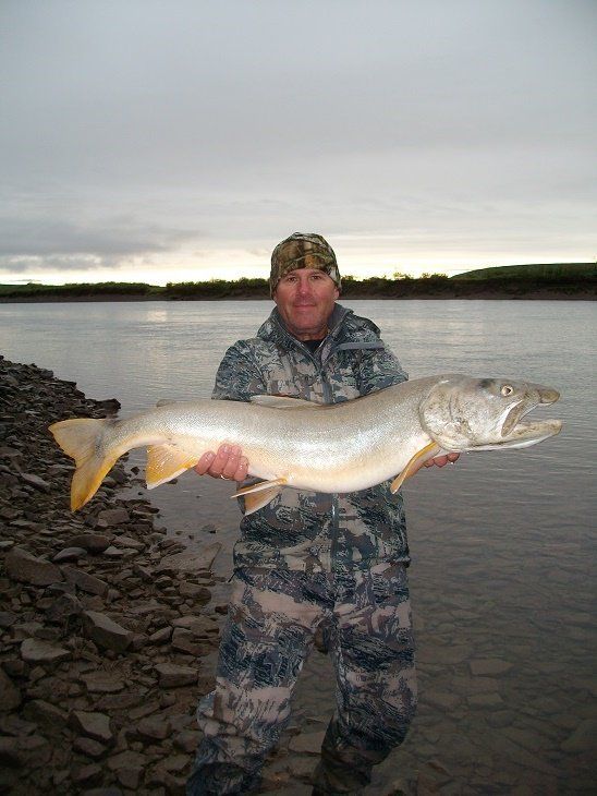 A man is holding a large fish in his hands in the water.
