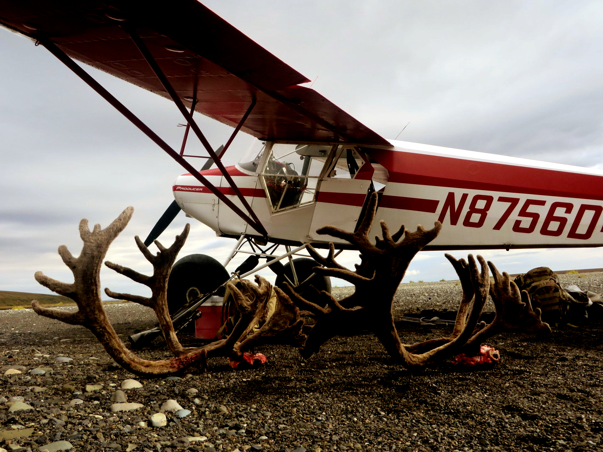 A small plane with the number n8756d on the side