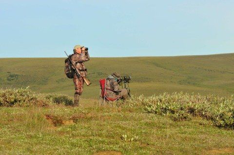 A man in a camouflage uniform is standing in a grassy field looking through binoculars.